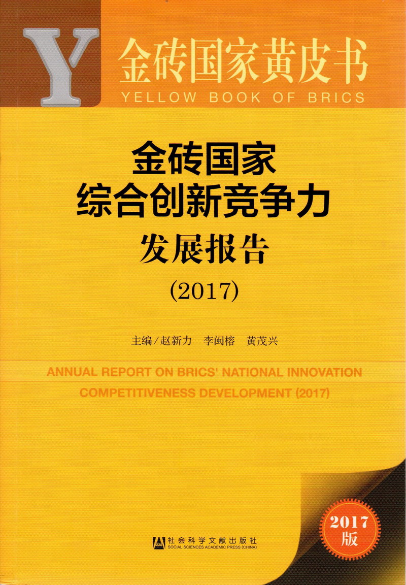 操操操操视频播放抠逼按摩播放视频金砖国家综合创新竞争力发展报告（2017）